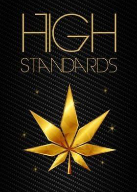 High Standards Logo